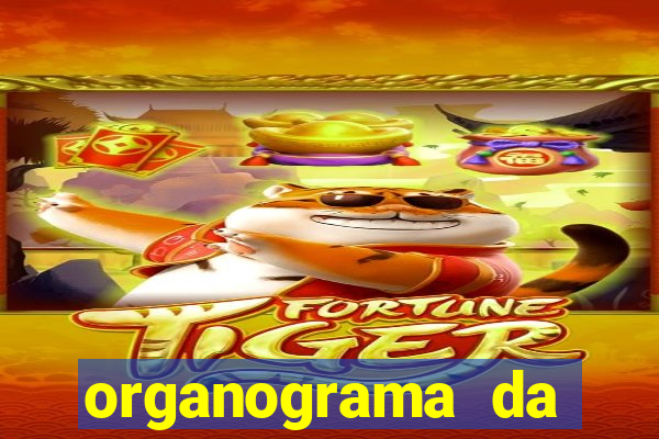 organograma da cacau show